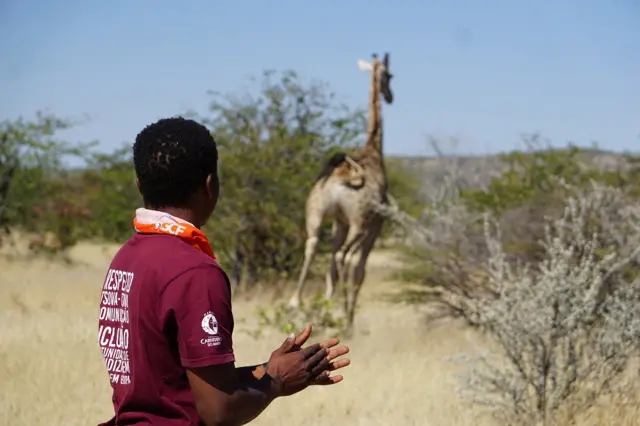 A giraffe bolts away from one of the team.