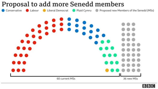 Senedd reform