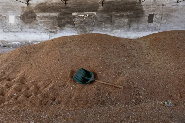 Wheat lies piled in a storage facility in the Kherson region