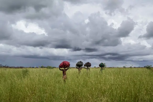 A group of women carry big loads of sorghum through the fields on a stormy day - 2017