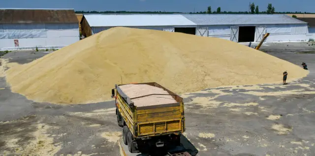 Grain harvested in Zaporizhzhia region - file pic, 5 Jul 20