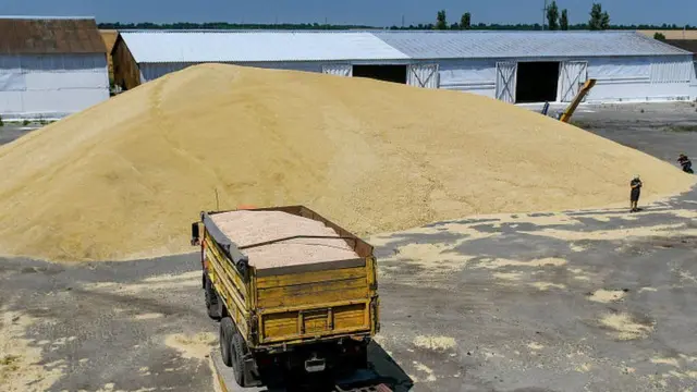 A truck collects grain from a farm in Ukraine