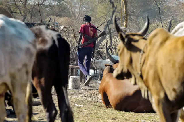 A man carrying a gun walks past a cattle at Kirgui village in Udier town, on March 9, 2019