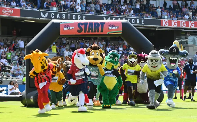 Mascot race