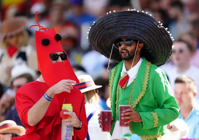 Fans at T20 Finals Day