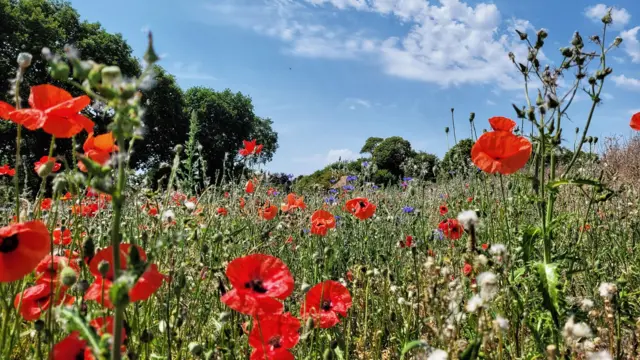 Great Brington in Northamptonshire