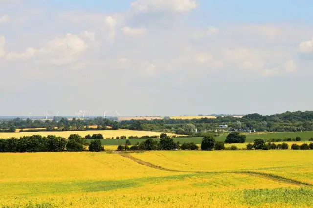 Weather Watcher picture of Hitchin, Hertfordshire