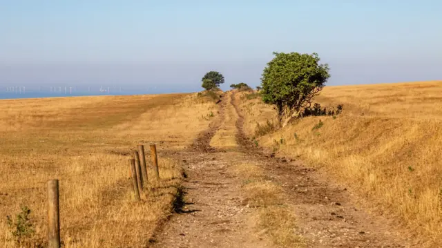 Parched field