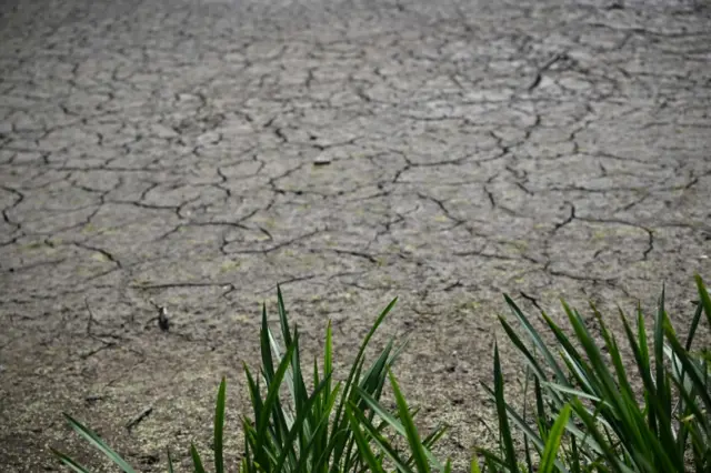 Parched land in UK