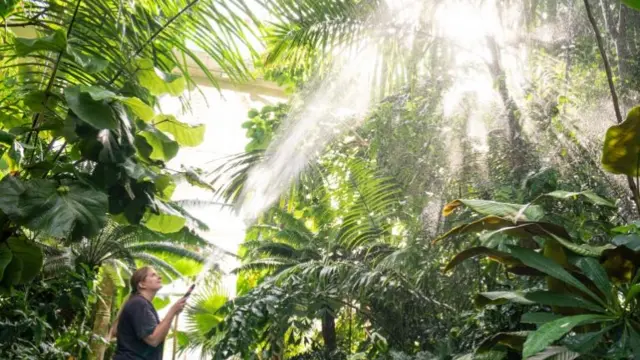 Watering plants at Kew