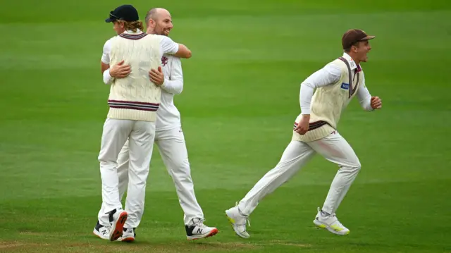 Somerset celebrate