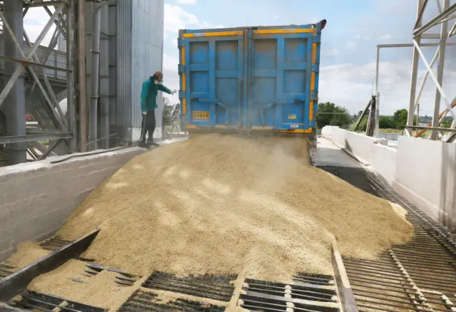 A truck unloads barley grain at a grain terminal, amid Russia's invasion of Ukraine, in Odesa region, Ukraine 22 June 2022.