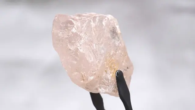 The pink diamond.