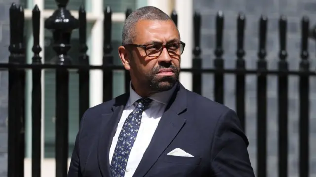 James Cleverly walks into No 10