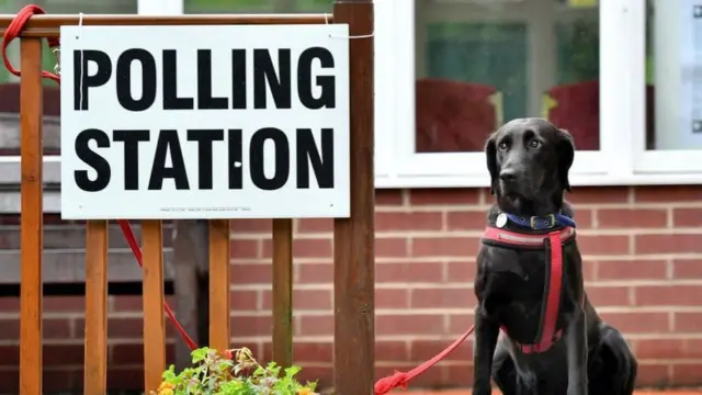 Dog outside polling station