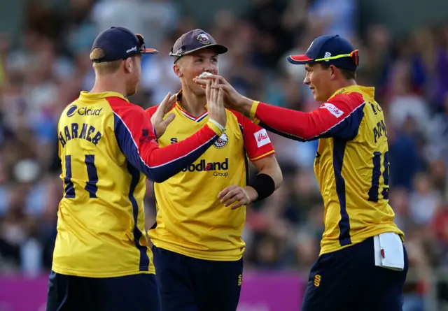 Essex celebrate Phil Salt's wicket