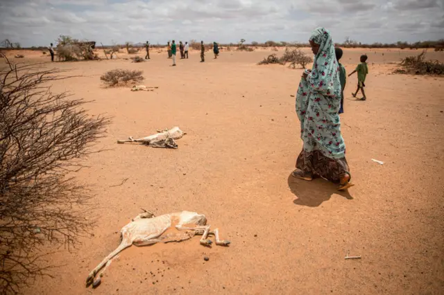 People walk past animal carcasses.