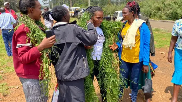 People adorning themselves with grass laurels in Eldoret, Kenya