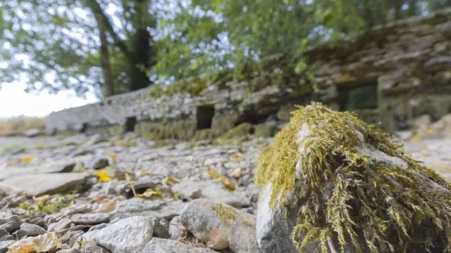 The source of the River Thames has dried-up and moved 5 miles downstream