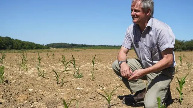 Farmers say the soil is too dry for seeds to germinate