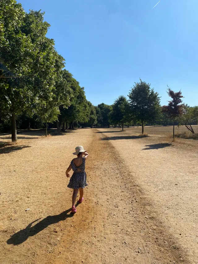 Parched, dry grass in Swanley Park, Kent