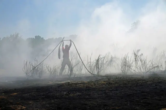 Firefighters tackle a grass fire on Leyton flats in east London, 12 August 2022