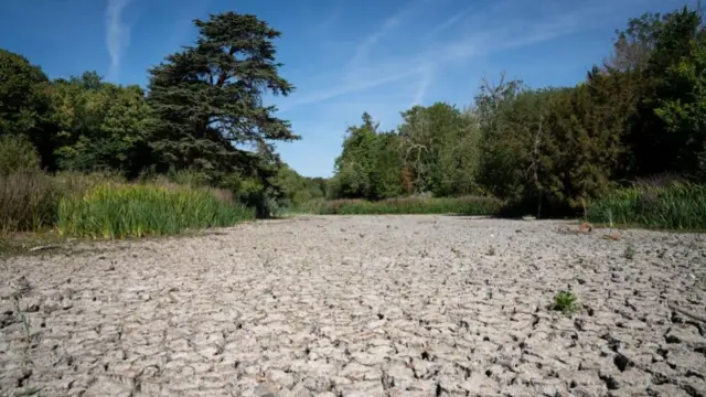 A dried up lake in Wanstead Park, north east London on 8 August 2022