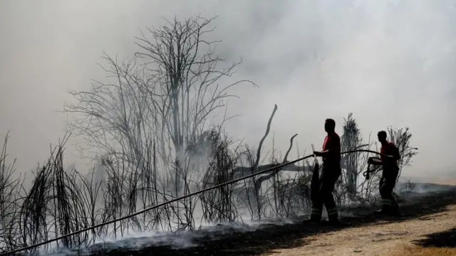 Smoke rises from charred vegetation on Leyton Flats