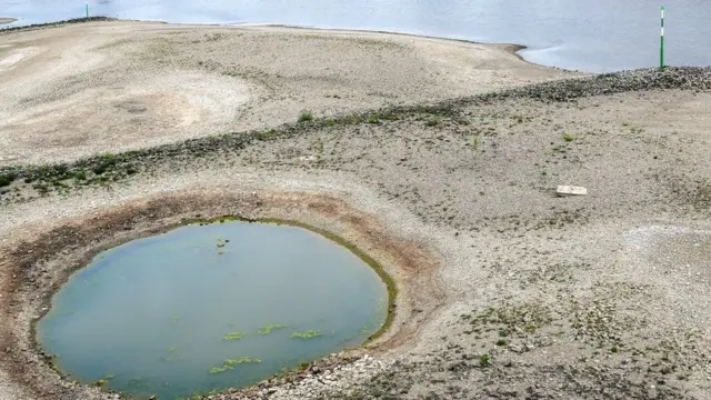 Low water levels seen on the Rhine