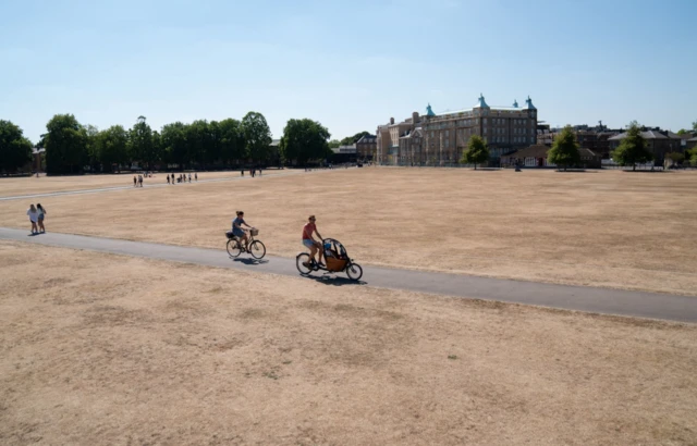 Parched grass on Parker's Piece in Cambridge, as a drought has been declared for parts of England following the driest summer for 50 years.