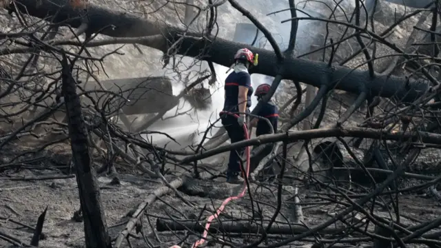 Firefighters at Hostens, near Bordeaux, August 13