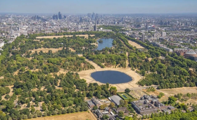 Hyde Park with parched, yellow grass