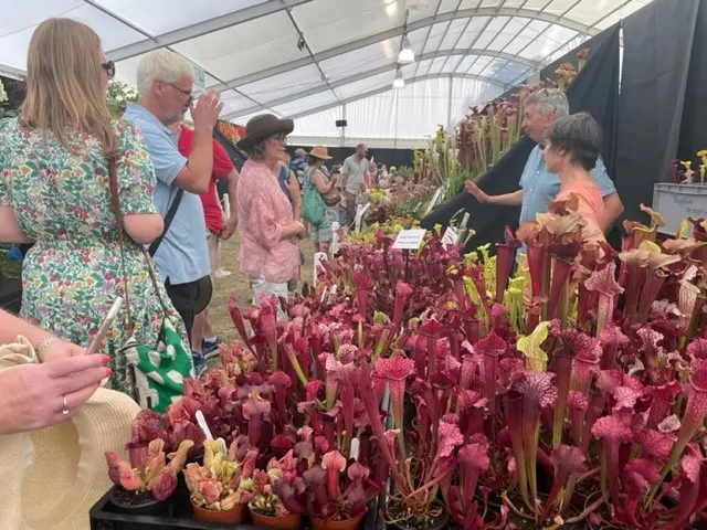 Shrewsbury Flower Show