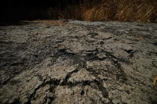 Picture shows dry, cracked soil