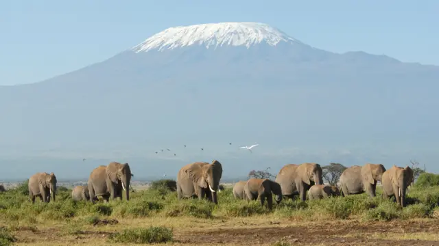 Mount Kilimanjaro overlooks the Kenya's Amboseli Park just over the border in Tanzania.