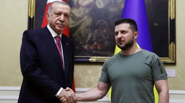 Zelensky and Turkish President Recep Tayyip Erdogan