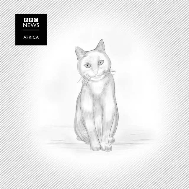 A drawing of a cat