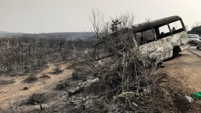 Burnt trees and a bus are pictured following a wildfire in El Kala, in Al Taref province, Algeria, August 18