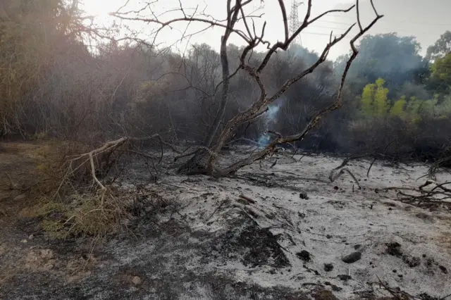 A general view of the wildfire in Setif, Algeria on August 17, 2022.