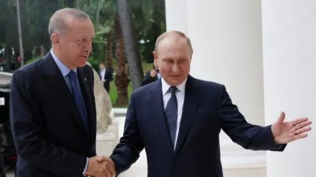 Turkish President Tayyip Erdogan meets with his Russian counterpart Vladimir Putin in Sochi, Russia August 5, 2022