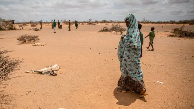 A child displaced by drought holds her nose as she walks past the rotting carcasses of goats that died from hunger and thirst on the outskirts of Dollow, Somalia.