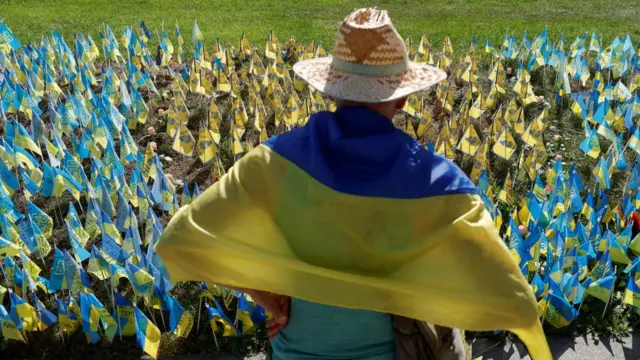 A man draped in a Ukrainian flag is seen from behind, in front of hundreds of smaller flags planted in the grass