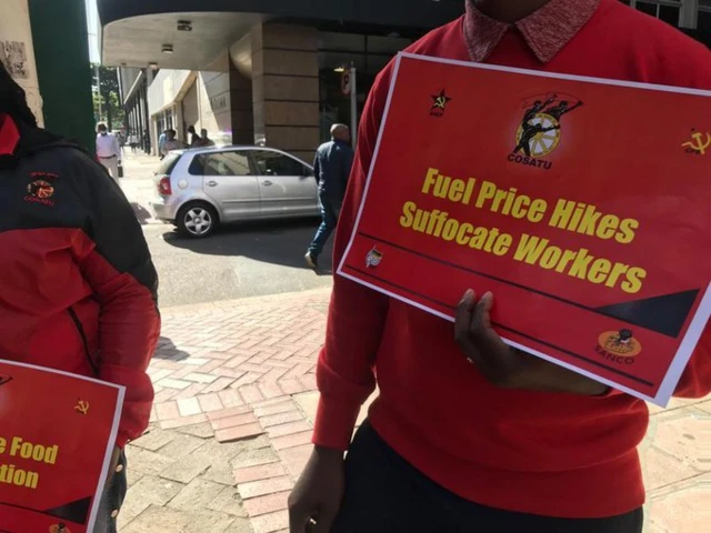 Workers strike in South Africa