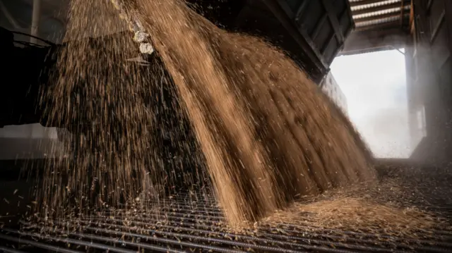 An employee unloads wheat grains inside a storage in the village of Tomylivka, Ukraine