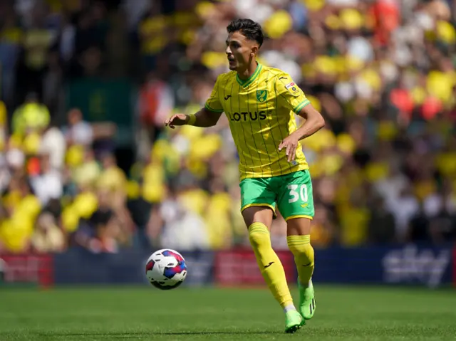 Norwich's Dimitris Giannoulis