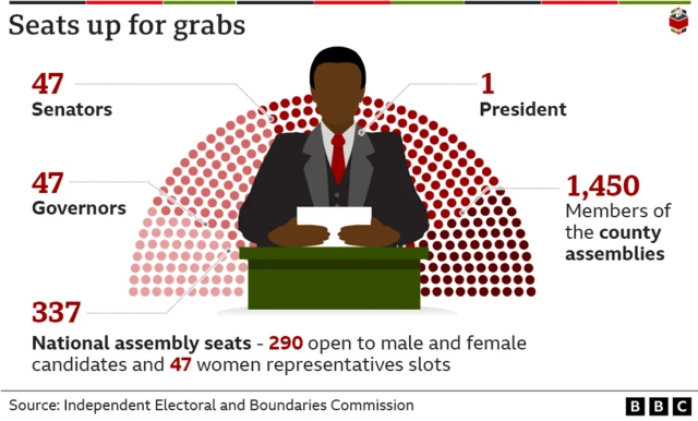 Graphic showing what is being voted for