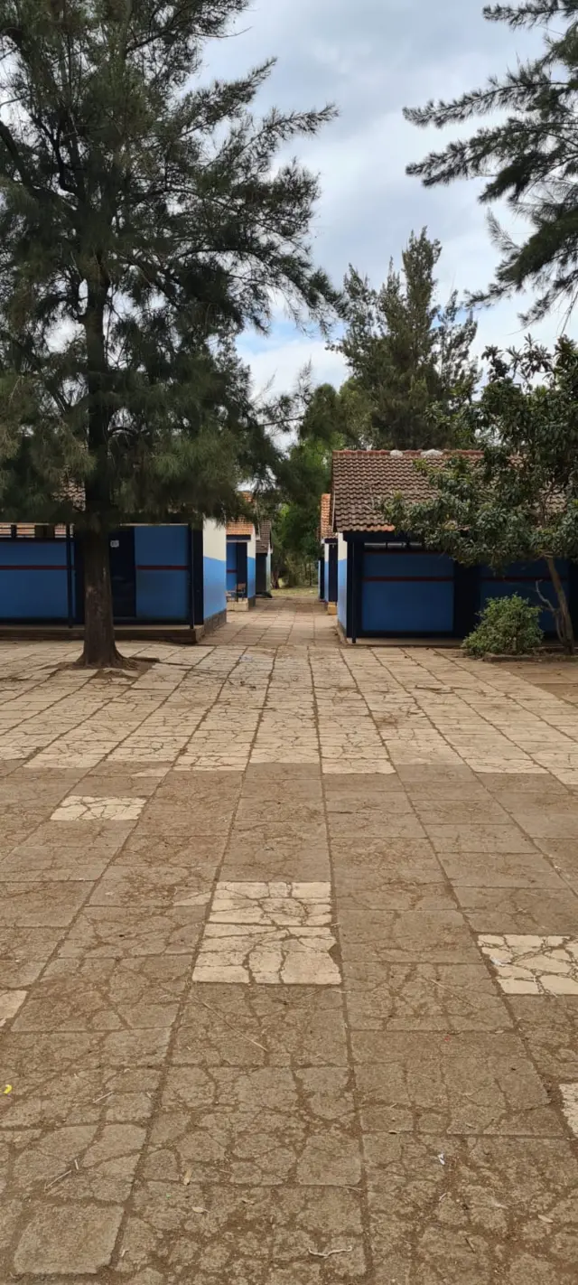 Milimani primary school
