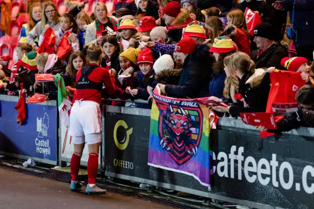 Wales crowd