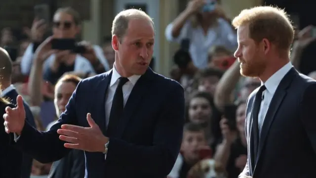 Princes William and Harry in Windsor