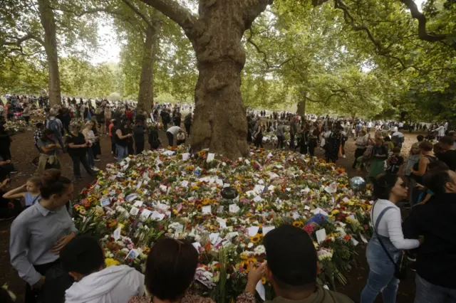 People look at the floral tributes in Green Park as they come to pay their respects to Queen Elizabeth II in London on 11 September 2022